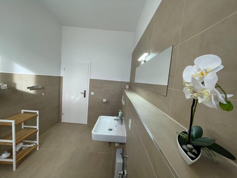 Lucky Stays Ls10 - Vollausstattung - Zentrum - Aufzug - Grosse Kueche - 2 Zimmer - Smart-Tv Magdeburg Ngoại thất bức ảnh